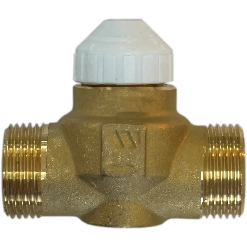 213134P - Watts İki Yollu Dişli Fan-Coil Vana Gövdesi