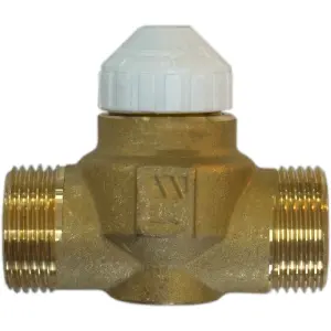 213134P - Watts İki Yollu Dişli Fan-Coil Vana Gövdesi