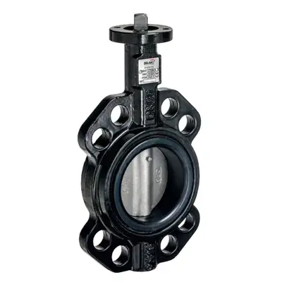 D6250W - Belimo Kelebek Vana Gövdesi