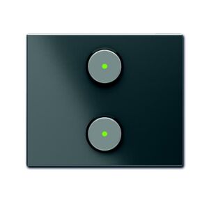 ABB 6125/20-981-500 KNX Anahtar 2 gang Millenium, British Standart