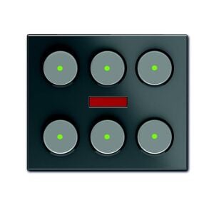 ABB 6129/21-981-500 KNX Anahtar 6 gang+IR Millenium, British Standart