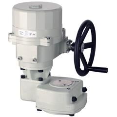 Siemens SQL321B6000 Kelebek Vana Motoru